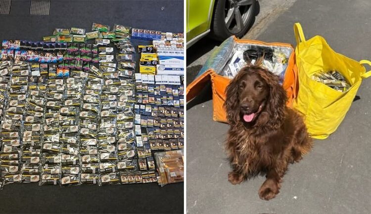 Police seize illicit tobacco and machete after raiding Swindon shop