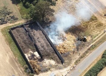 Fire destroys 600 hay bales as police hunt for three arson suspects