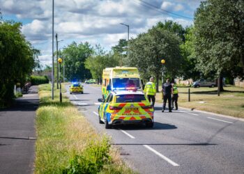 Woman, 20s, knocked down on zebra crossing ‘has broken back’