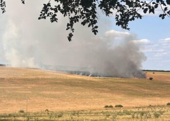 Wiltshire field fire rages as firefighters work to stop flames spreading
