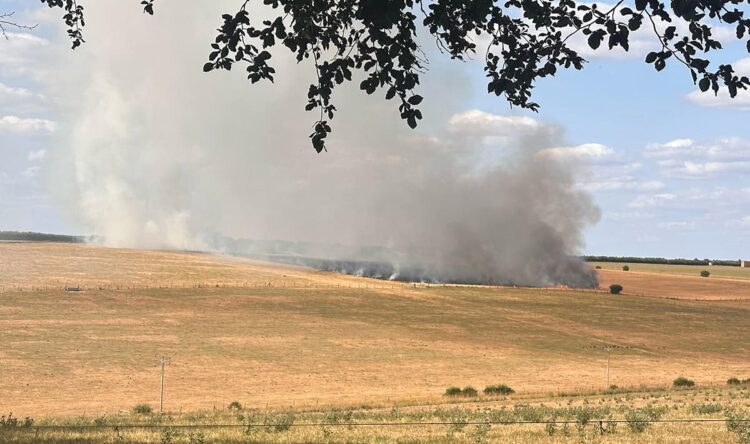 Wiltshire field fire rages as firefighters work to stop flames spreading