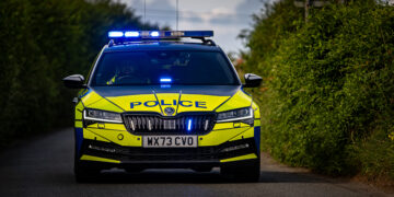 Woman, 20s, knocked down on zebra crossing ‘has broken back’