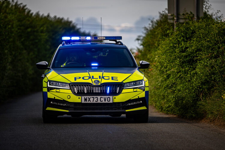 Woman, 20s, knocked down on zebra crossing ‘has broken back’