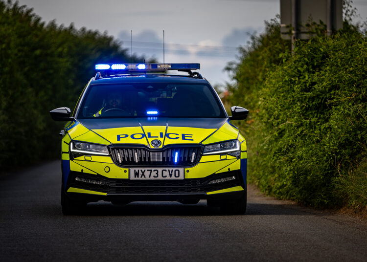 Woman, 20s, knocked down on zebra crossing ‘has broken back’