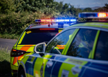 Woman, 20s, knocked down on zebra crossing ‘has broken back’