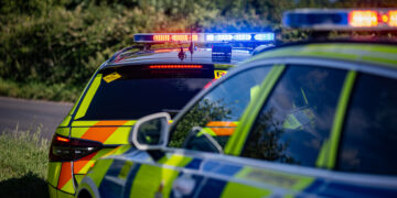 Woman, 20s, knocked down on zebra crossing ‘has broken back’