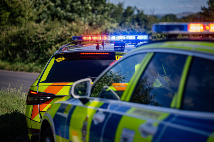 Woman, 20s, knocked down on zebra crossing ‘has broken back’
