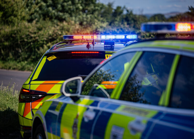 Woman, 20s, knocked down on zebra crossing ‘has broken back’