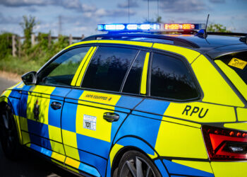 Woman, 20s, knocked down on zebra crossing ‘has broken back’