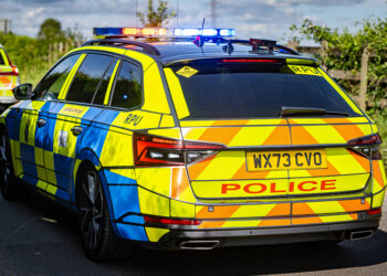 Woman, 20s, knocked down on zebra crossing ‘has broken back’