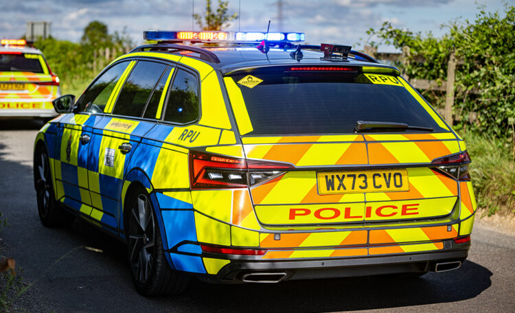 Woman, 20s, knocked down on zebra crossing ‘has broken back’