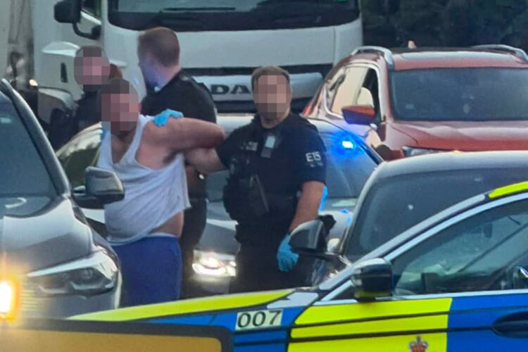 Mustang driver pleads guilty to string of crimes after Swindon pursuit