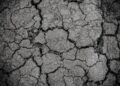 Drought declared in Wiltshire as rivers run low and restrictions grow