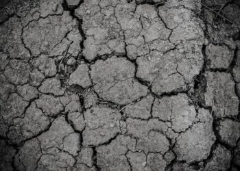 Drought declared in Wiltshire as rivers run low and restrictions grow