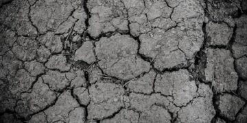 Drought declared in Wiltshire as rivers run low and restrictions grow