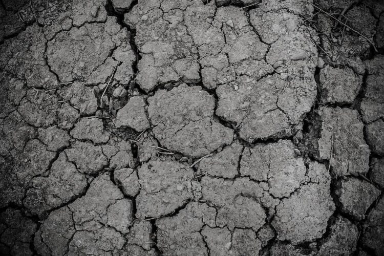 Drought declared in Wiltshire as rivers run low and restrictions grow