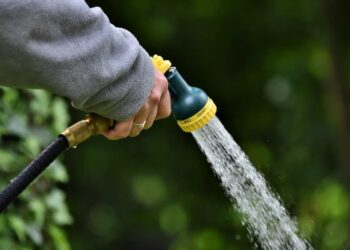 Hosepipe ban hits Swindon as Thames Water battles drought crisis