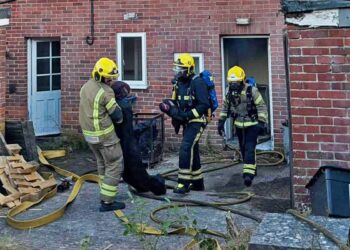 Wiltshire firefighters search burning cottages in realistic exercise
