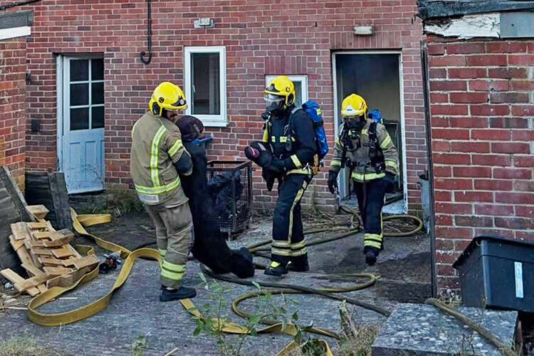 Wiltshire firefighters search burning cottages in realistic exercise