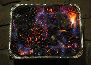 Fire service warning after BBQ and campfire found at Swindon park