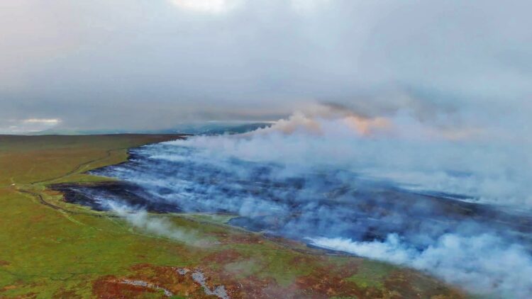 Smoke plume from huge wildfire clouds the skies of west Wiltshire