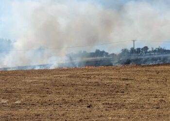Firefighters race to tackle huge blaze in east Wiltshire countryside