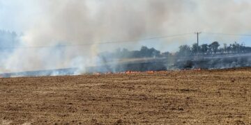 Firefighters race to tackle huge blaze in east Wiltshire countryside