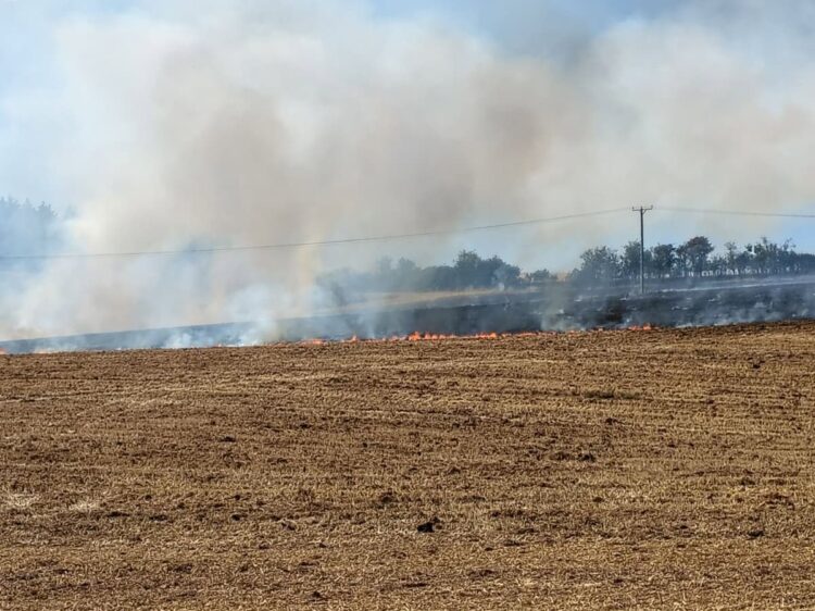 Firefighters race to tackle huge blaze in east Wiltshire countryside