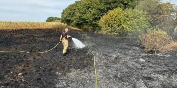 Firefighters called to three outdoor fires across west Wiltshire
