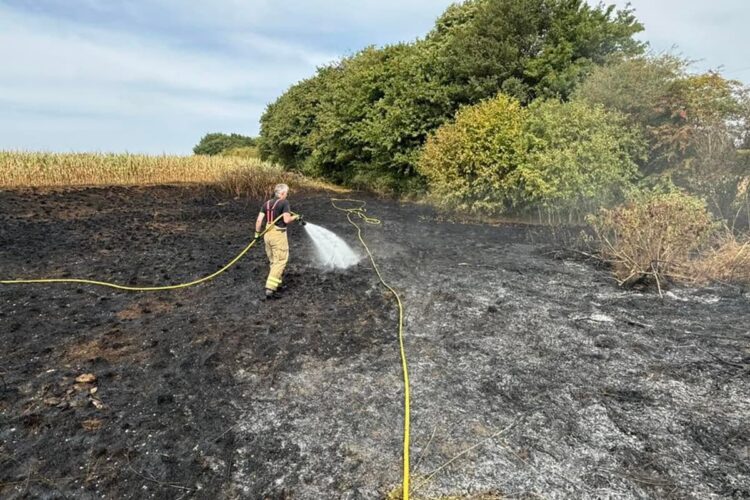 Firefighters called to three outdoor fires across west Wiltshire