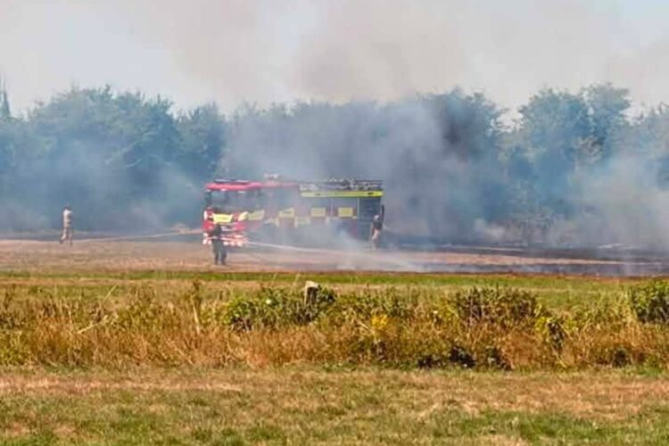 Firefighters race to tackle separate wildfires in two Wiltshire towns