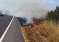 Firefighters tackle verge blaze as busy A303 closed both directions