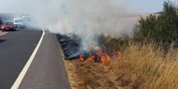 Firefighters tackle verge blaze as busy A303 closed both directions