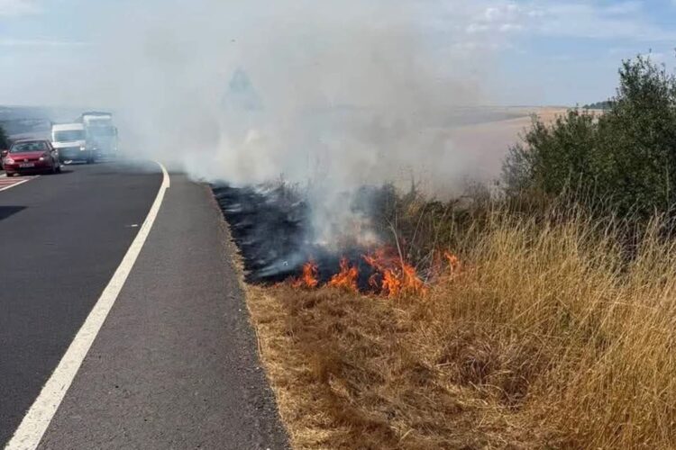 Firefighters tackle verge blaze as busy A303 closed both directions