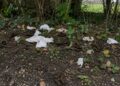 Major clean-up operation after travellers leave car park full of poo