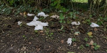 Major clean-up operation after travellers leave car park full of poo