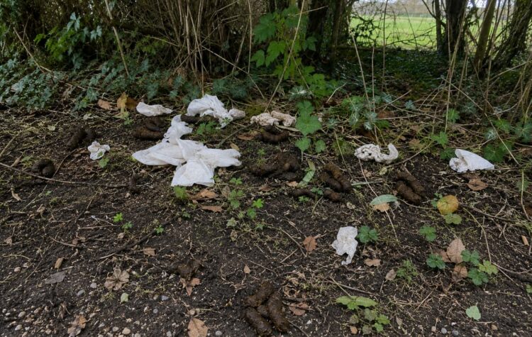 Major clean-up operation after travellers leave car park full of poo
