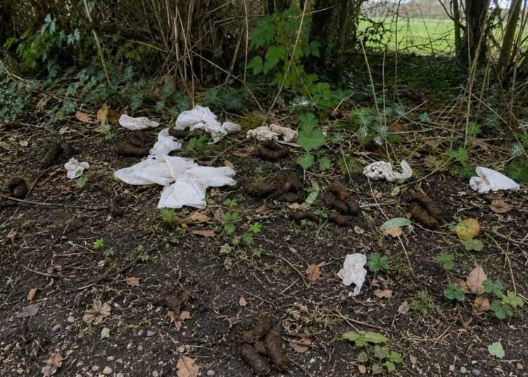 Major clean-up operation after travellers leave car park full of poo