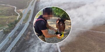 Wiltshire firefighter who gave water to pony won’t be disciplined