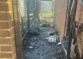 Family launch GoFundMe after discarded cigarette sparks blaze