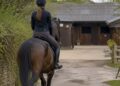 Equestrian seriously injured after horse spooked by ‘speeding’ van