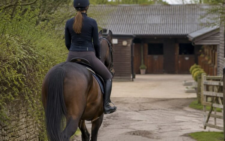Equestrian seriously injured after horse spooked by ‘speeding’ van