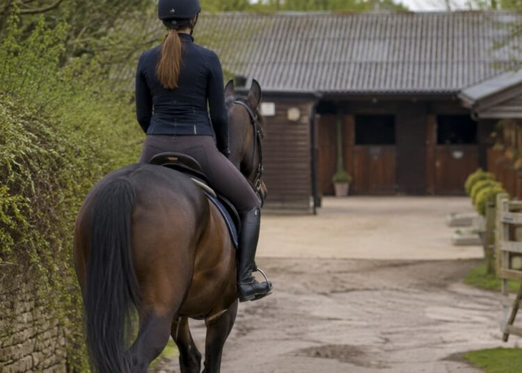 Equestrian seriously injured after horse spooked by ‘speeding’ van