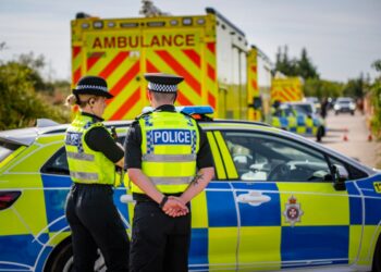 Murder probe after man shot dead on traveller site in Wiltshire