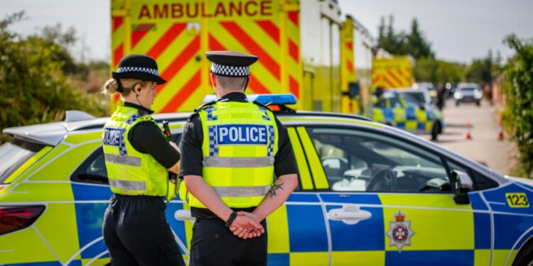 Murder probe after man shot dead on traveller site in Wiltshire