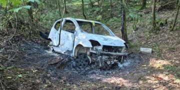 Police alerted after burnt-out car found in Wiltshire woodland
