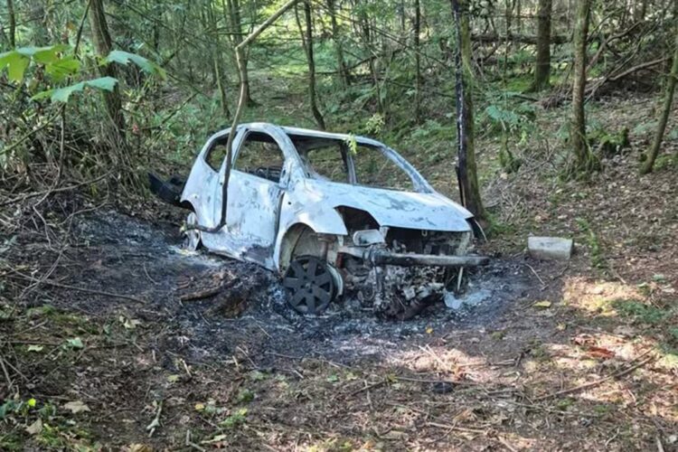 Police alerted after burnt-out car found in Wiltshire woodland