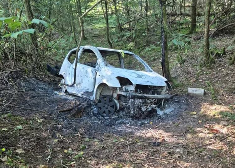 Police alerted after burnt-out car found in Wiltshire woodland