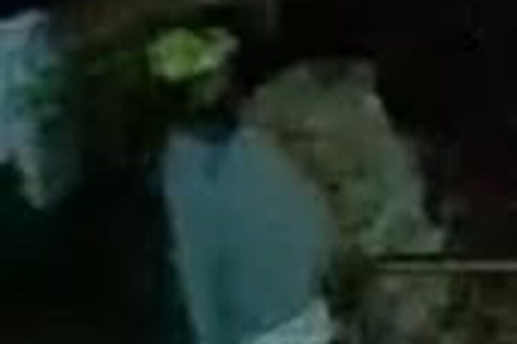 Police hunt helmet-wearing burglar after break-in at Swindon home