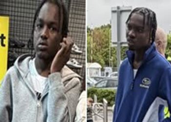 Two males sought by Wiltshire Police after Swindon shop incident